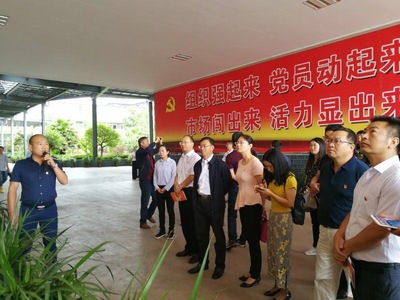 打好三張紅色牌，提升網絡文化經營核心競爭力